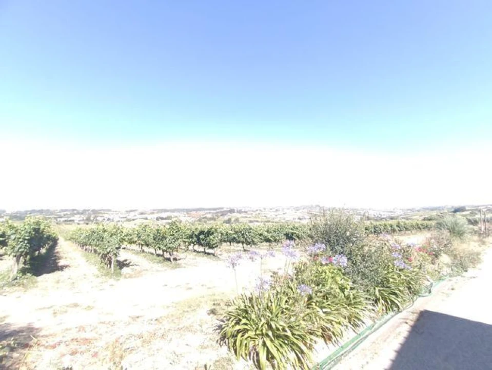 Moradia T2 para Venda em Ventosa Foto 7