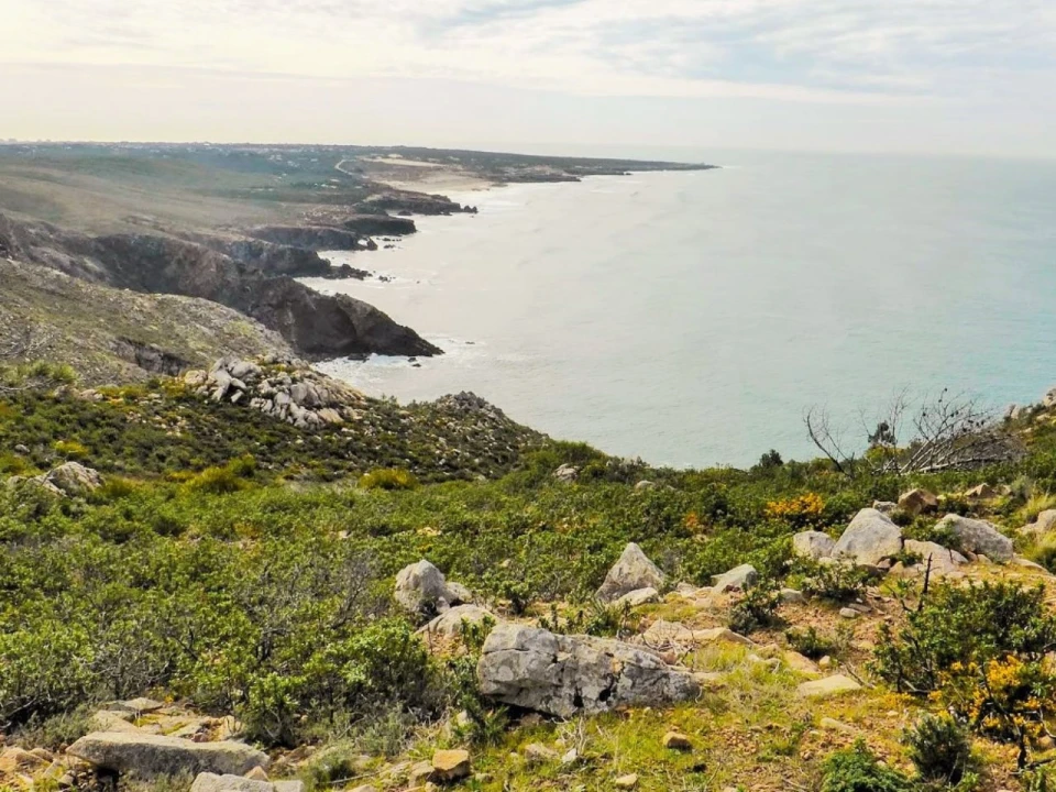 Moradia T3 para Venda em Alcabideche Foto 22