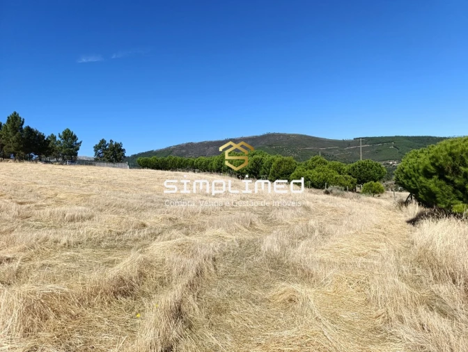 Quinta T0 para Venda em Orjais Foto 23