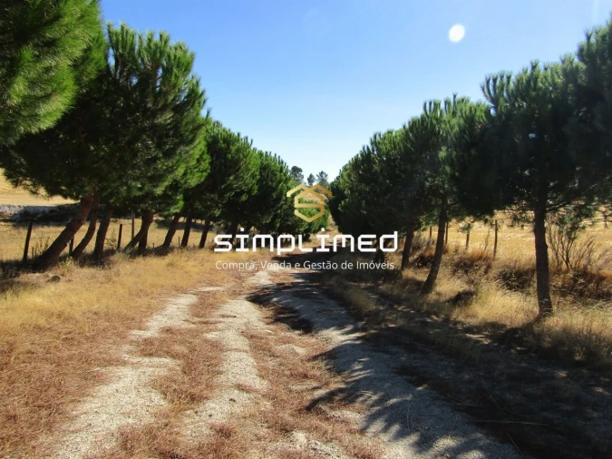 Quinta T0 para Venda em Orjais Foto 12