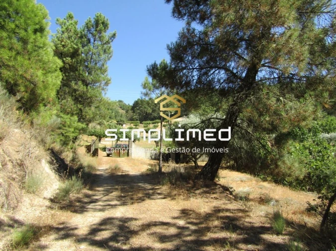 Quinta T0 para Venda em Ferro Foto 28