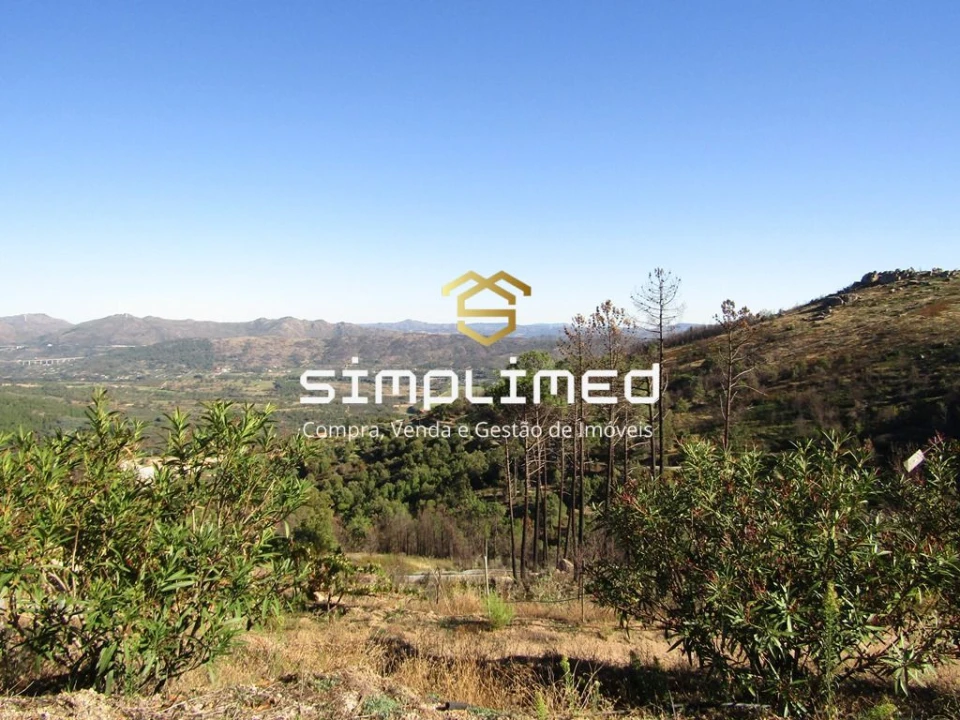 Terreno para Venda em Gonçalo Bocas Foto 19