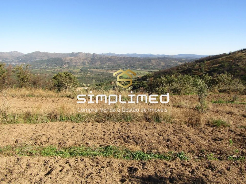 Terreno para Venda em Gonçalo Bocas Foto 9