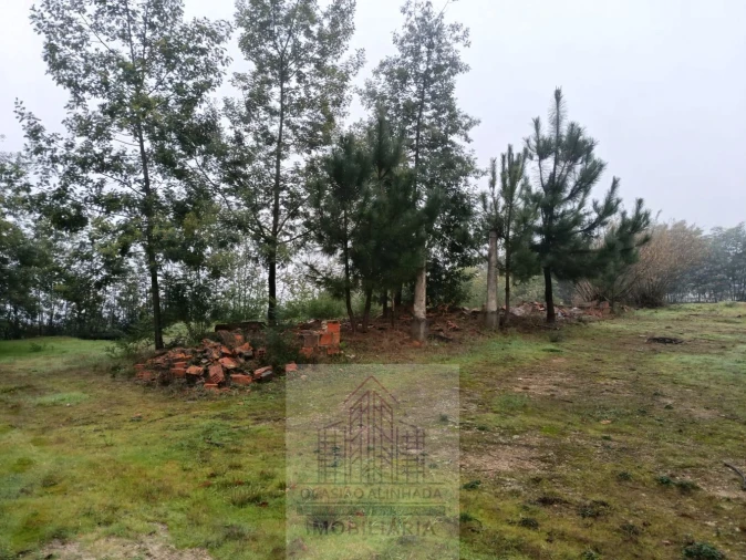 Terreno para Venda em Oliveira do Hospital e São Paio de Gramaços Foto 12