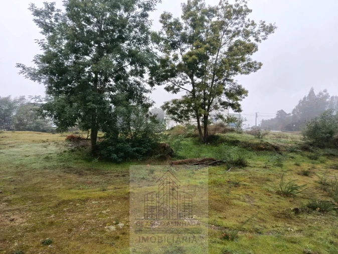 Terreno para Venda em Oliveira do Hospital e São Paio de Gramaços Foto 14