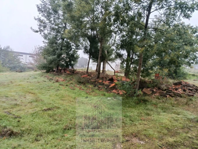 Terreno para Venda em Oliveira do Hospital e São Paio de Gramaços Foto 19
