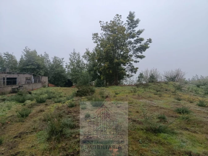 Terreno para Venda em Oliveira do Hospital e São Paio de Gramaços Foto 8