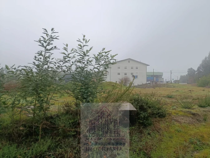 Terreno para Venda em Oliveira do Hospital e São Paio de Gramaços Foto 13