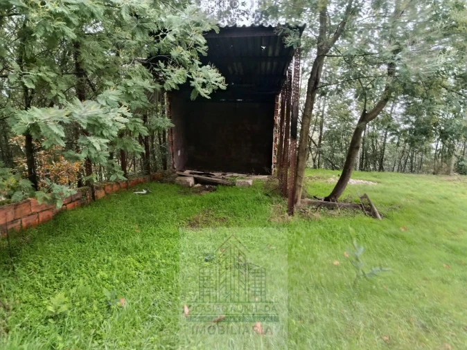 Terreno para Venda em Oliveira do Hospital e São Paio de Gramaços Foto 17