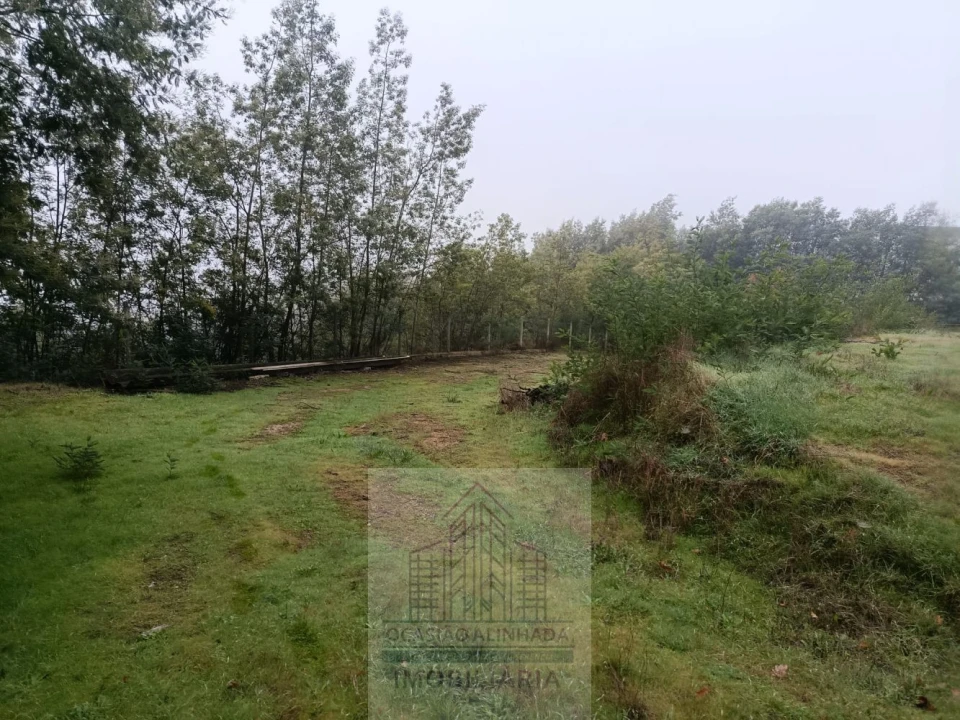 Terreno para Venda em Oliveira do Hospital e São Paio de Gramaços Foto 16