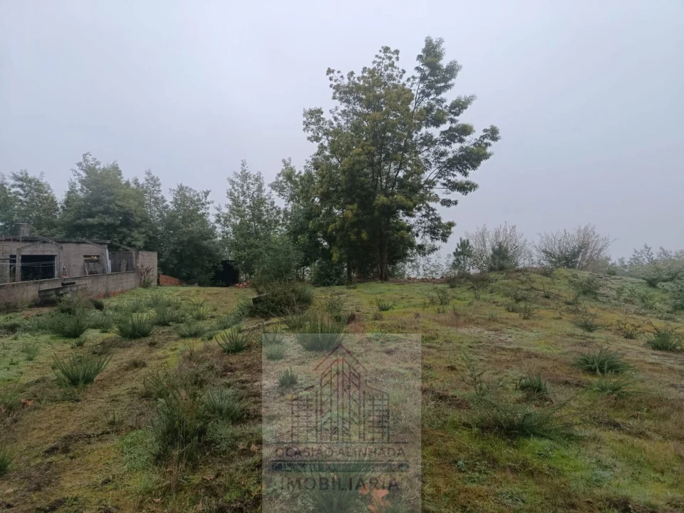 Terreno para Venda em Oliveira do Hospital e São Paio de Gramaços Foto 8