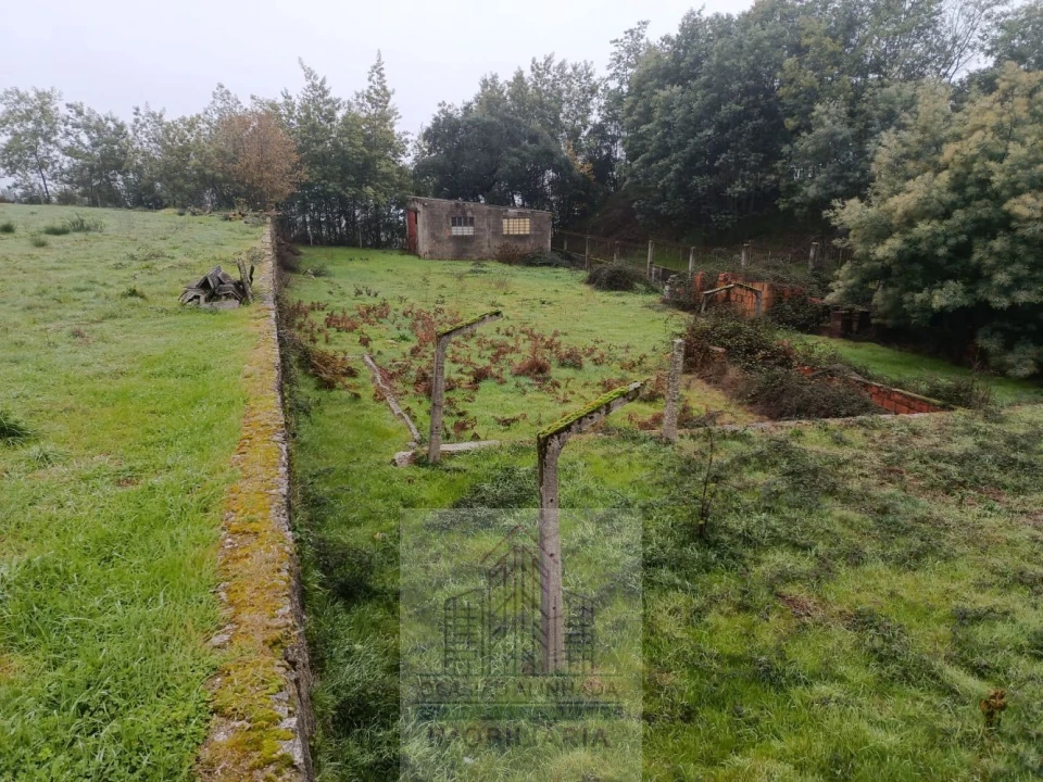 Terreno para Venda em Oliveira do Hospital e São Paio de Gramaços Foto 34