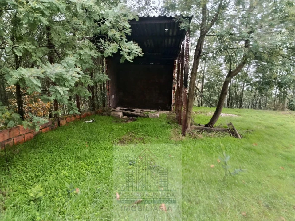 Terreno para Venda em Oliveira do Hospital e São Paio de Gramaços Foto 17