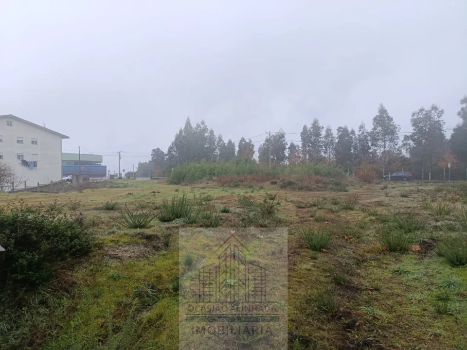 Terreno para Venda em Oliveira do Hospital e São Paio de Gramaços Foto 11