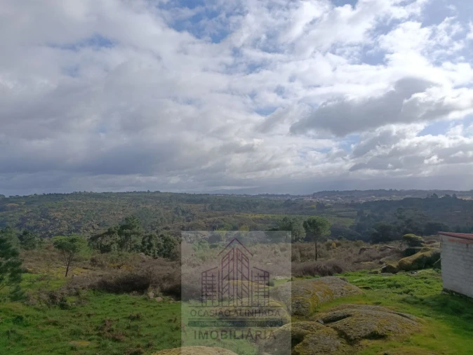 Terreno para Venda em Girabolhos Foto 22