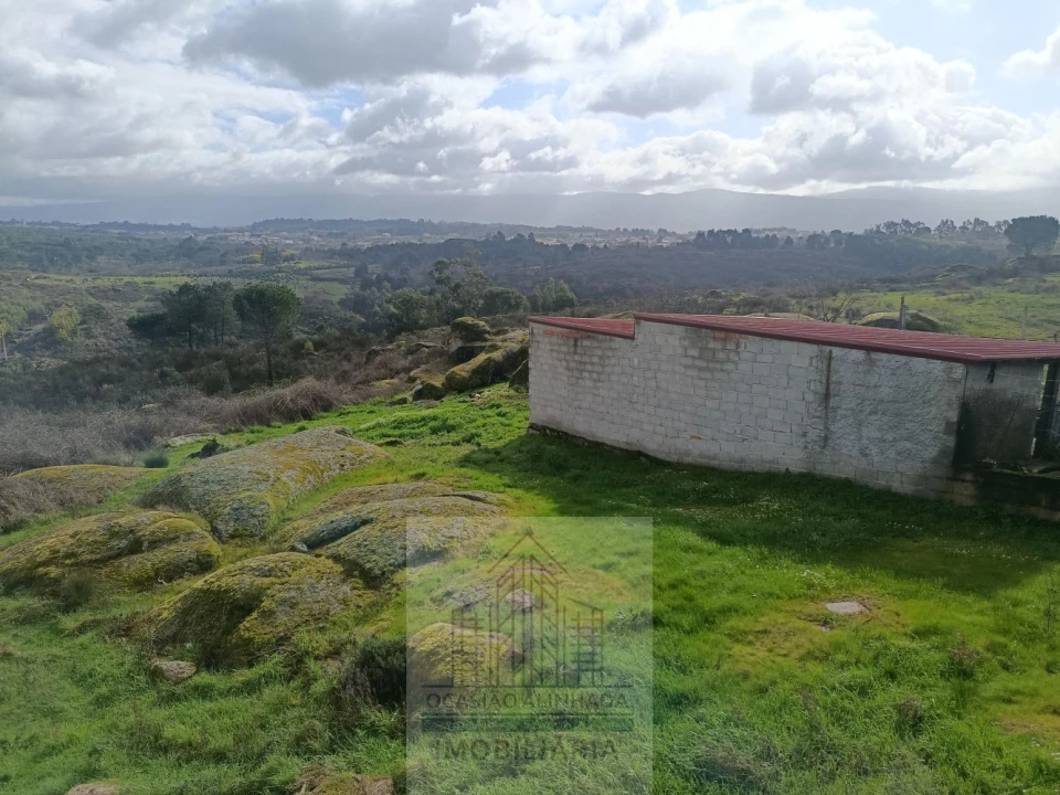 Terreno para Venda em Girabolhos Foto 19