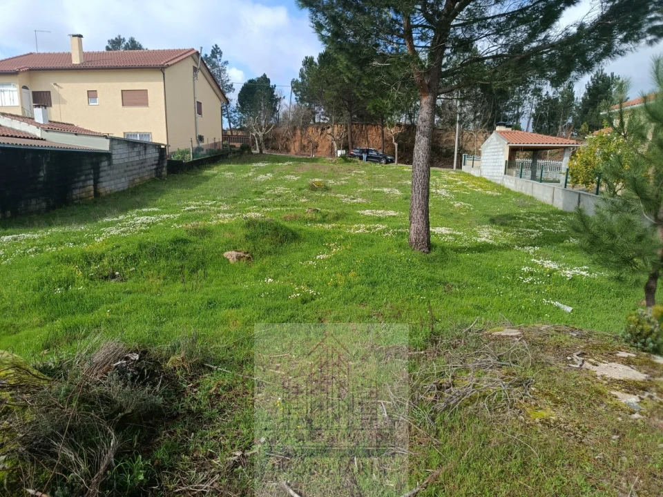 Terreno para Venda em Girabolhos Foto 20