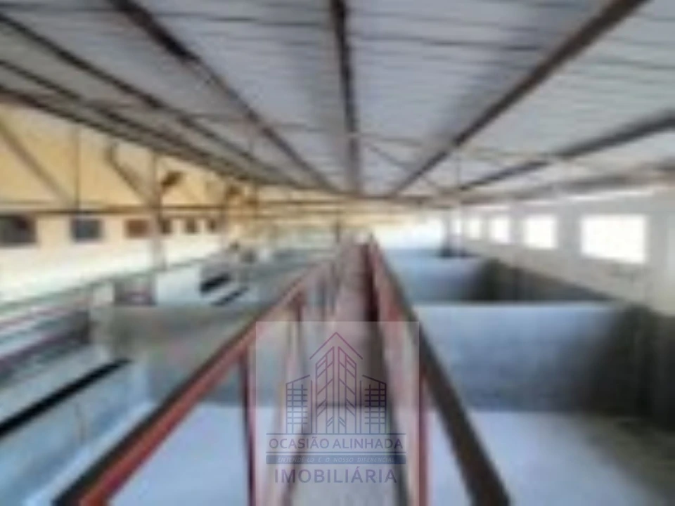 Loja para Venda em Oliveira do Hospital e São Paio de Gramaços Foto 17