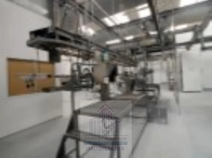 Loja para Venda em Oliveira do Hospital e São Paio de Gramaços Foto 10