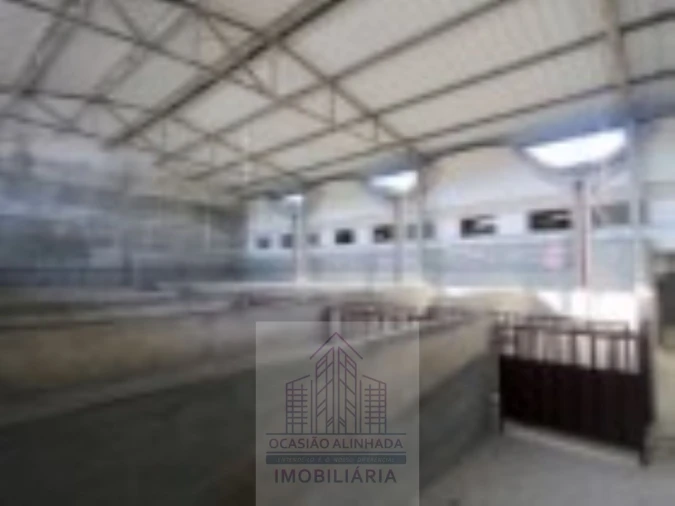 Loja para Venda em Oliveira do Hospital e São Paio de Gramaços Foto 11