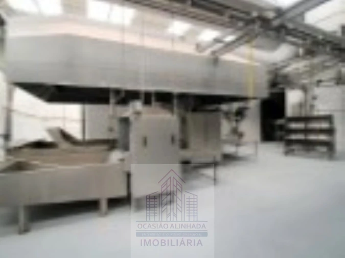 Loja para Venda em Oliveira do Hospital e São Paio de Gramaços Foto 9