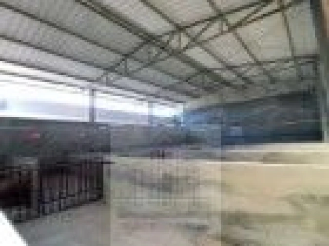 Loja para Venda em Oliveira do Hospital e São Paio de Gramaços Foto 39