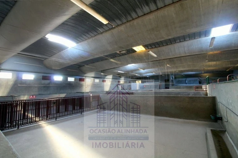 Loja para Venda em Oliveira do Hospital e São Paio de Gramaços Foto 5