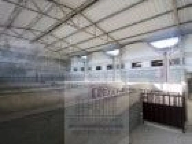 Loja para Venda em Oliveira do Hospital e São Paio de Gramaços Foto 22