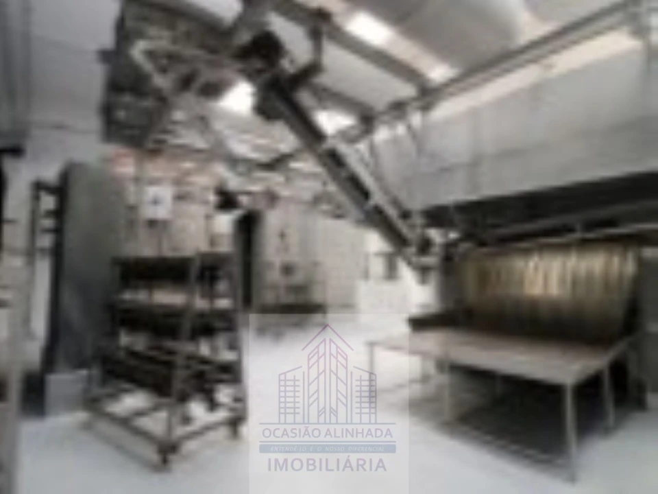 Loja para Venda em Oliveira do Hospital e São Paio de Gramaços Foto 13