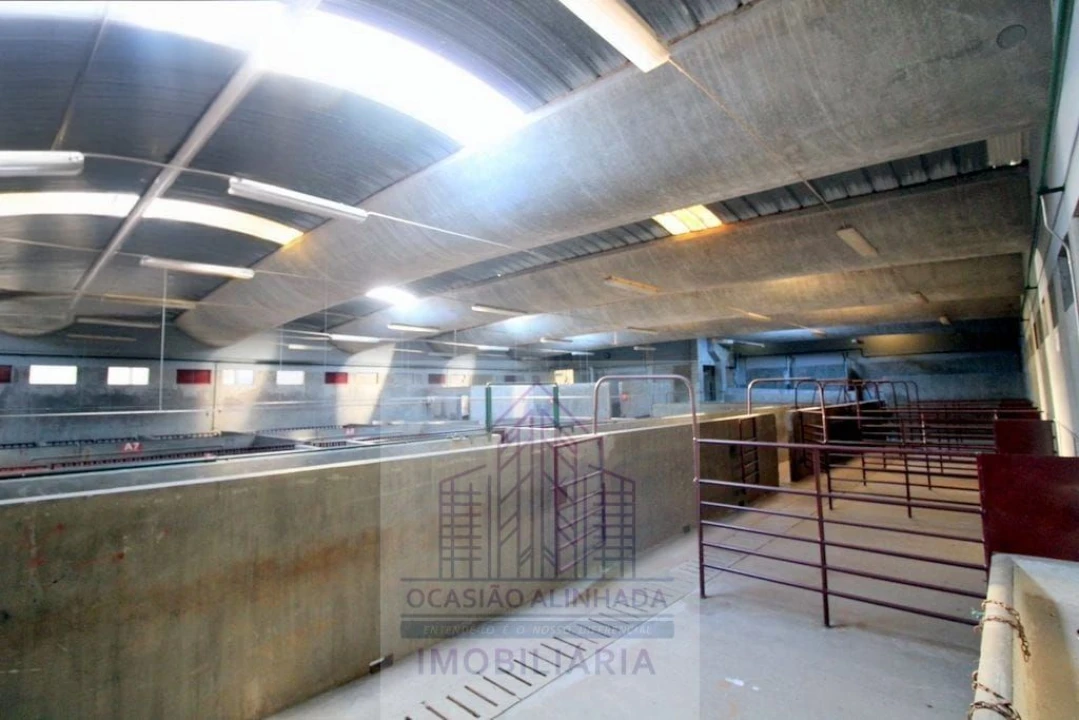 Loja para Venda em Oliveira do Hospital e São Paio de Gramaços Foto 2