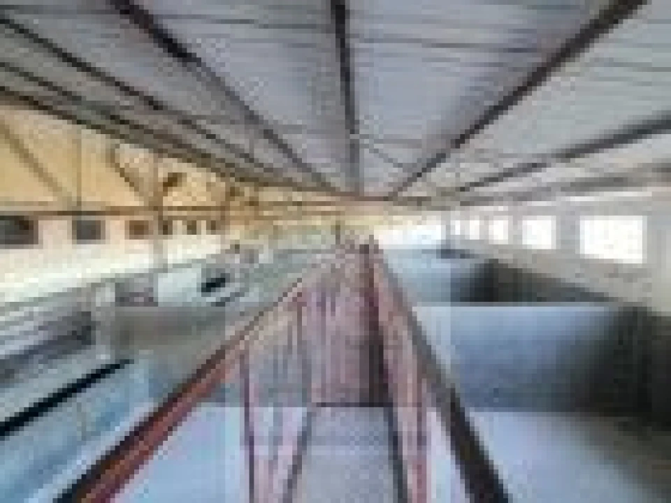 Loja para Venda em Oliveira do Hospital e São Paio de Gramaços Foto 21