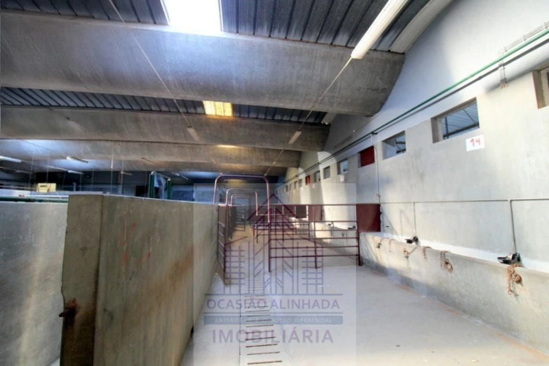 Loja para Venda em Oliveira do Hospital e São Paio de Gramaços Foto 7