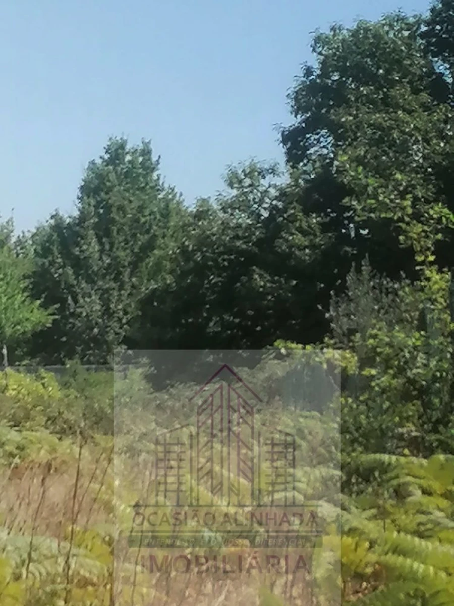 Terreno para Venda em Lagos da Beira e Lajeosa Foto 4