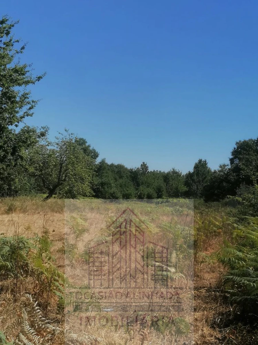 Terreno para Venda em Lagos da Beira e Lajeosa Foto 3