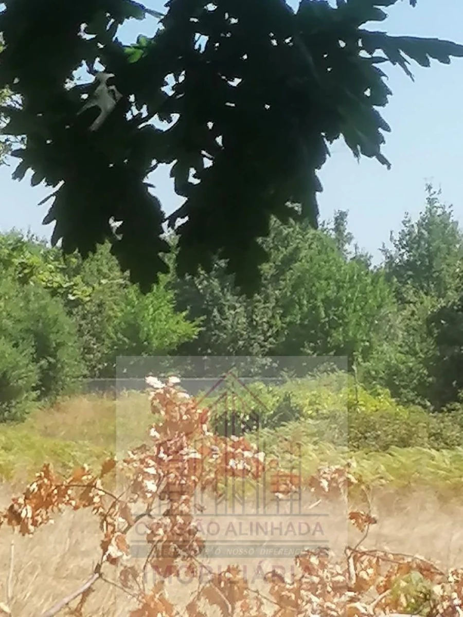 Terreno para Venda em Lagos da Beira e Lajeosa Foto 2