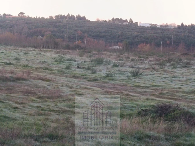 Terreno para Venda em Oliveira do Hospital e São Paio de Gramaços Foto 15