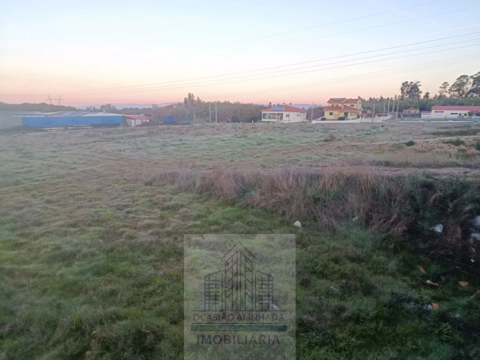 Terreno para Venda em Oliveira do Hospital e São Paio de Gramaços Foto 4