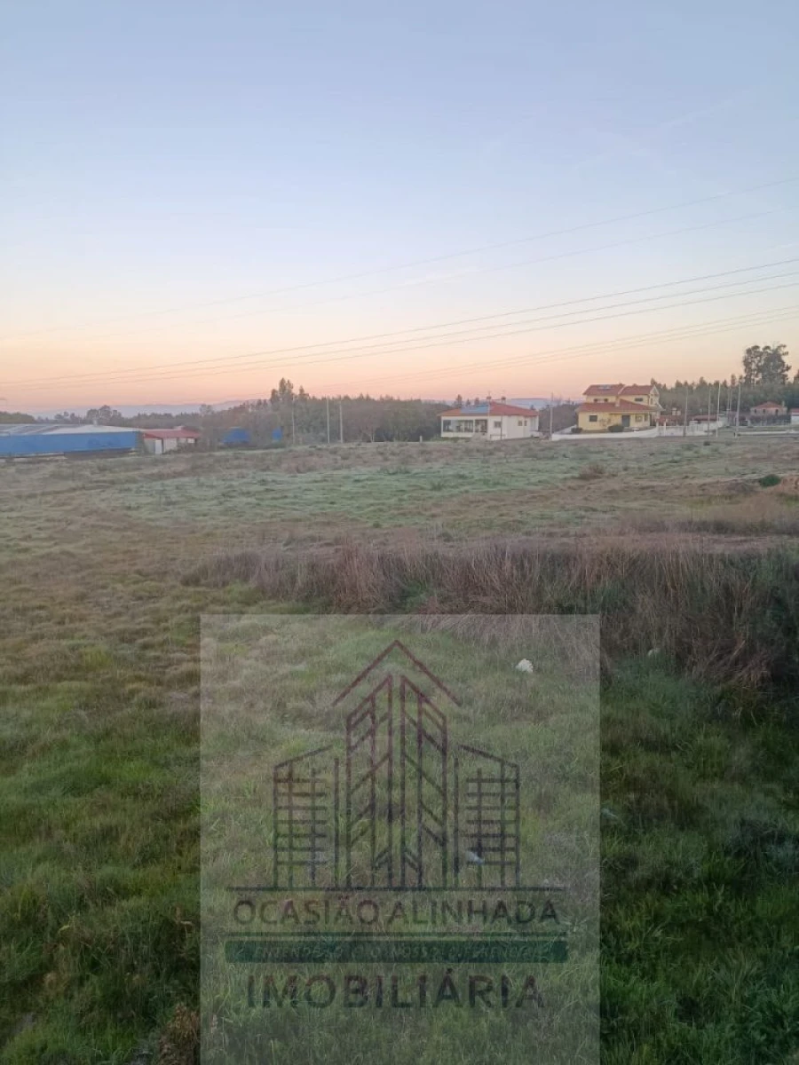 Terreno para Venda em Oliveira do Hospital e São Paio de Gramaços Foto 5