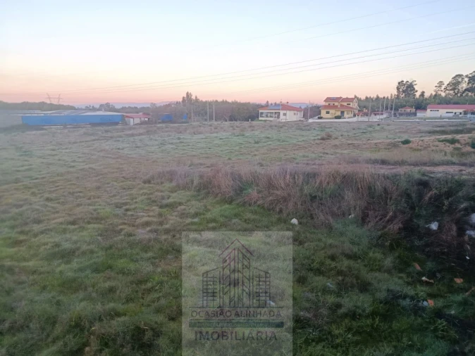 Terreno para Venda em Oliveira do Hospital e São Paio de Gramaços Foto 7