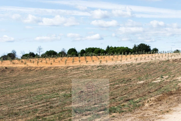 Quinta T8 para Venda em Travancinha Foto 37