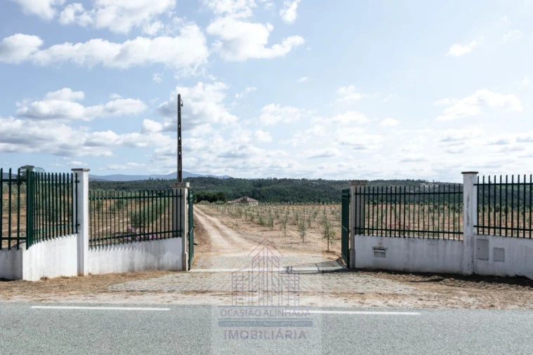 Quinta T8 para Venda em Travancinha Foto 42