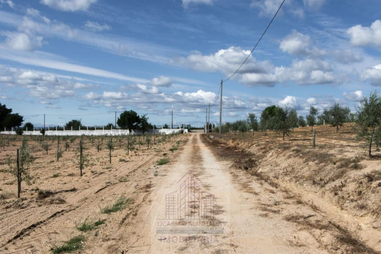 Quinta T8 para Venda em Travancinha Foto 45