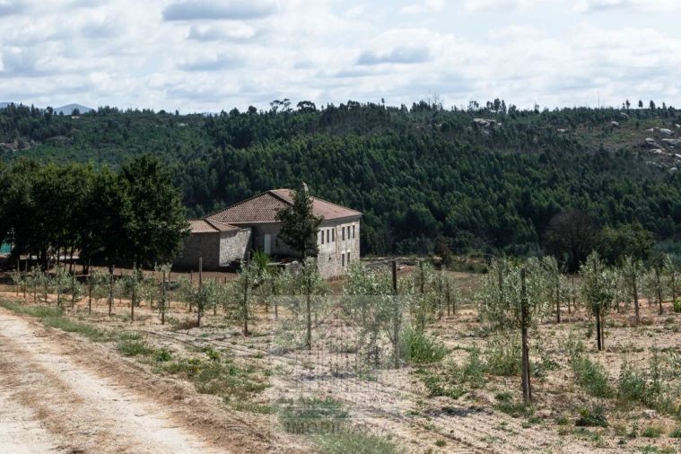Quinta T8 para Venda em Travancinha Foto 6