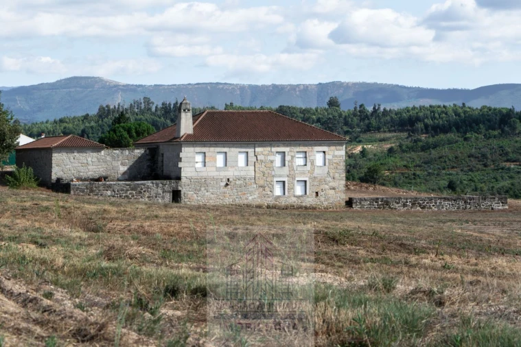 Quinta T8 para Venda em Travancinha Foto 47