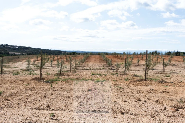 Quinta T8 para Venda em Travancinha Foto 41