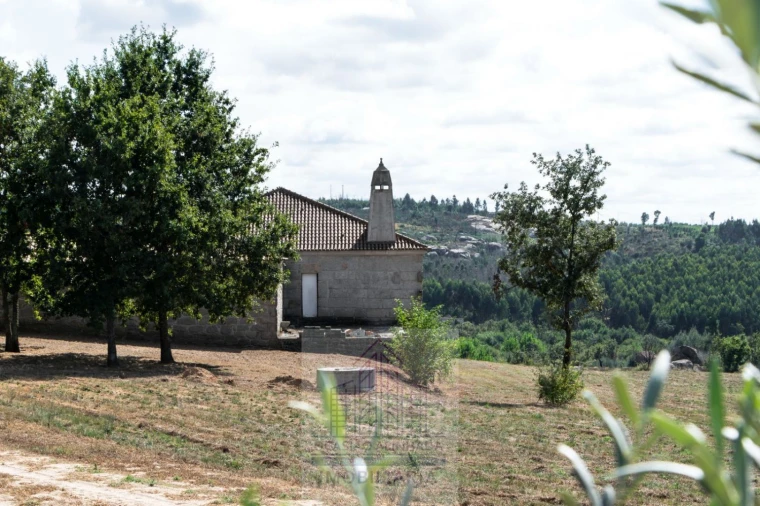 Quinta T8 para Venda em Travancinha Foto 39