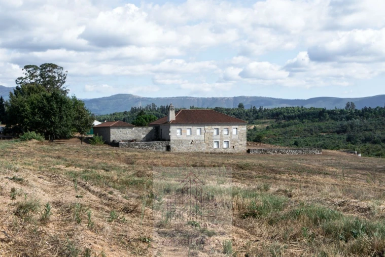 Quinta T8 para Venda em Travancinha Foto 48