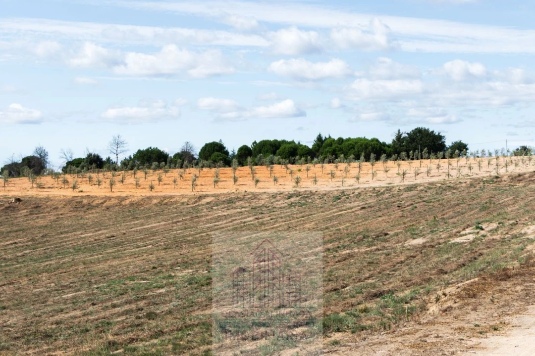 Quinta T8 para Venda em Travancinha Foto 37