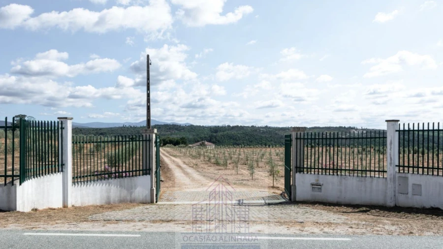 Quinta T8 para Venda em Travancinha