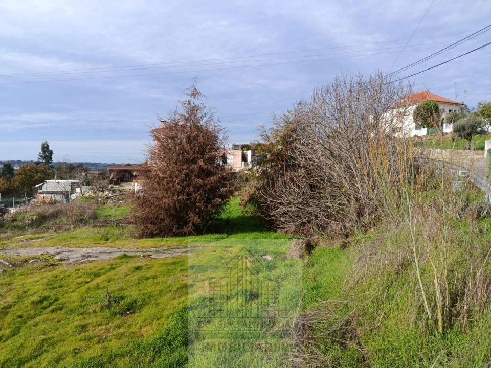 Terreno para Venda em Lagares Foto 8